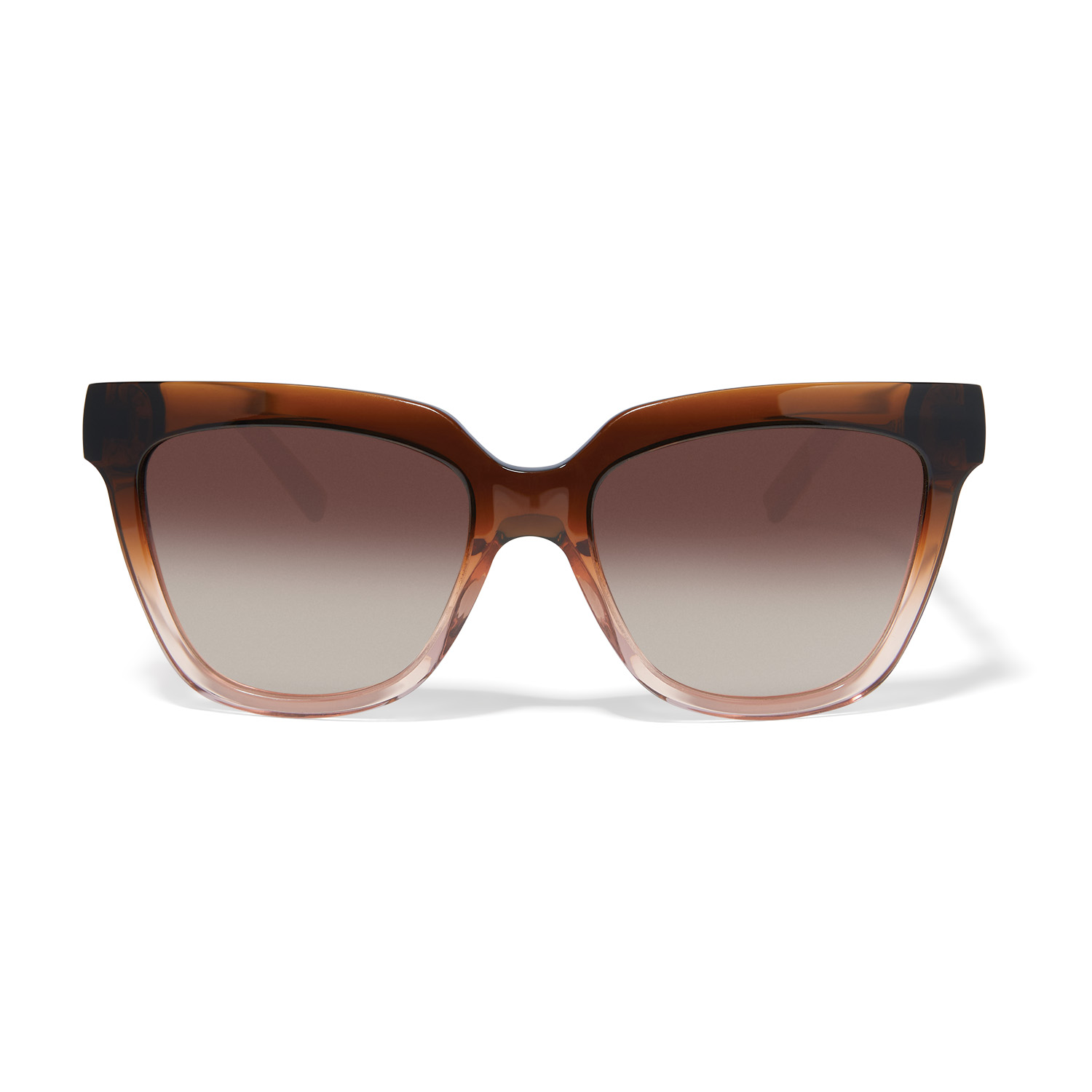 Brighton Interlok Infinity tortoise - Image 2